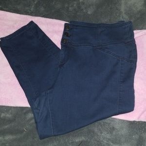 Lane Bryant Skinny Jean's Plus Size  24